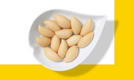 ソイカラはどこに売ってる？販売店・取扱店